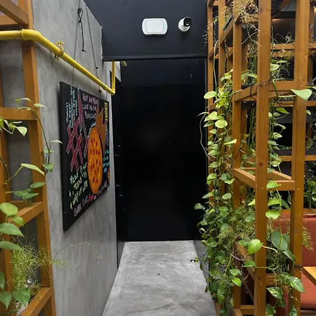 Casa Buliga 3 Crangasi Regie Orhideea Apartment Bucharest