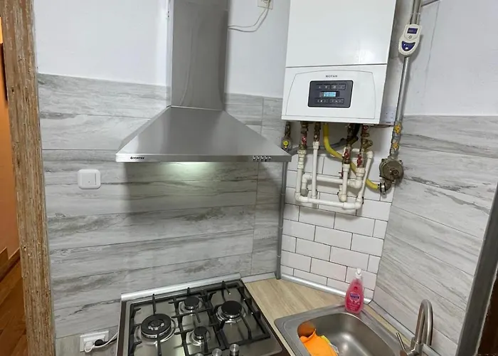 Casa Buliga 3 Crangasi Regie Orhideea Bucharest